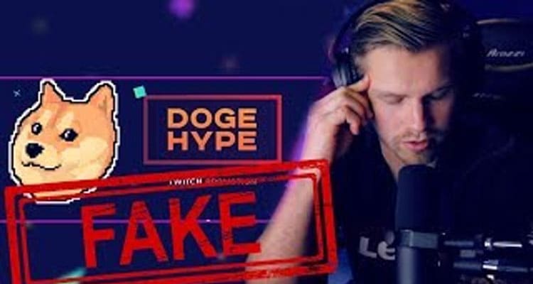 Dogehype Dot Com: Find All The Essential Features & Basic Details Here!