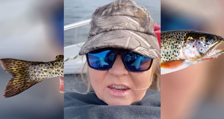 Latest News Trout Fishing Lady Video Full Video